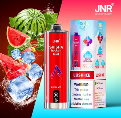 Jnr Shisha Hookah Max 22000 Puff Good Vape